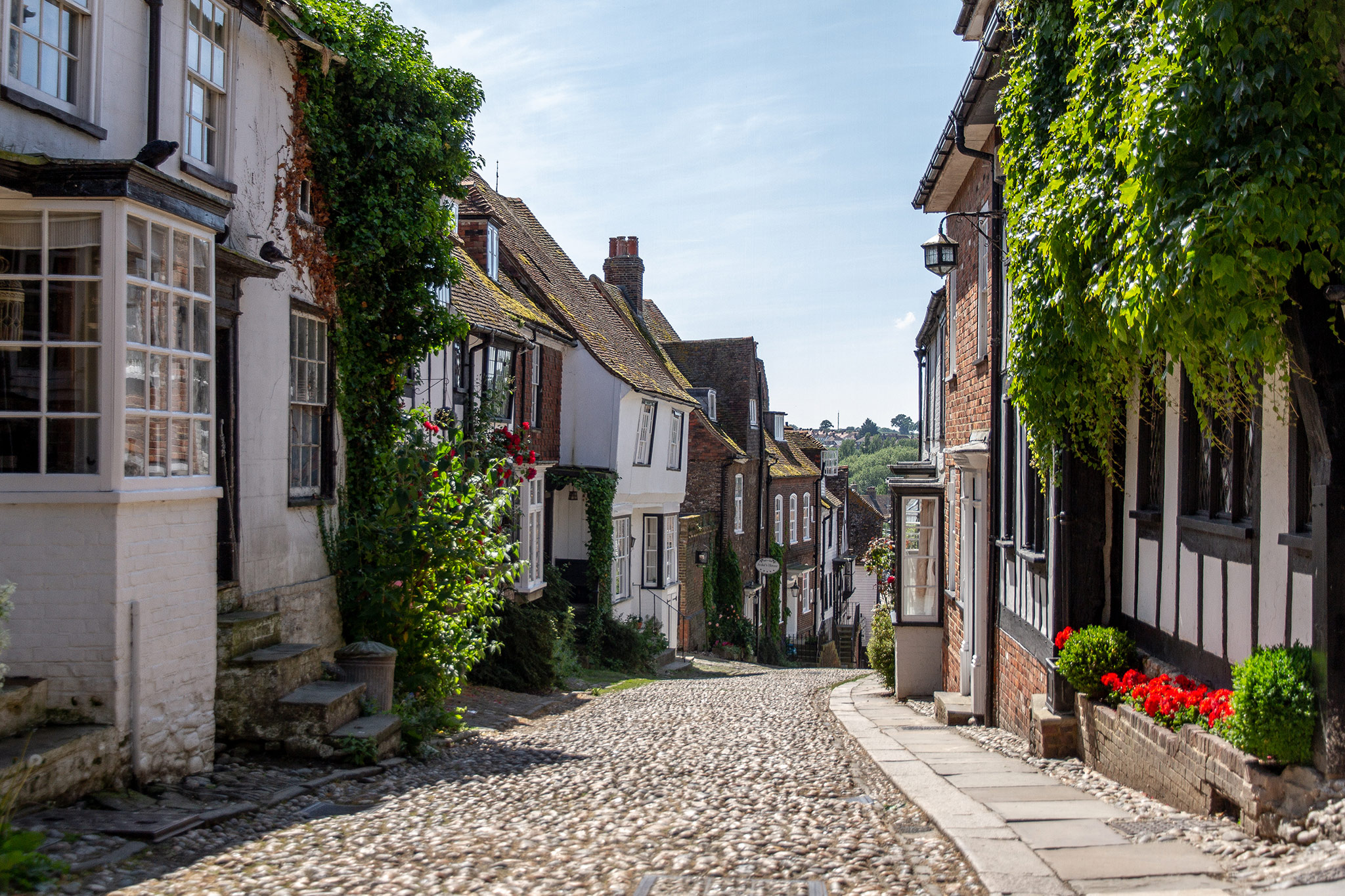 Rye